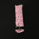 TOZ PEMBE