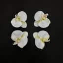Ana görsel