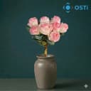 TOZ PEMBE