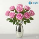 TOZ PEMBE