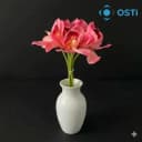 ŞEKER PEMBE