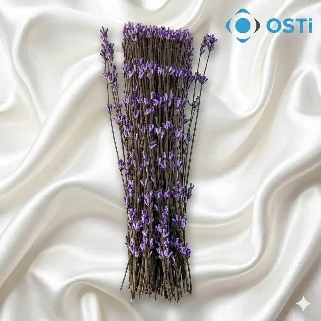 UZUN SAPLI TOHUM 100'LÜ (65cm)